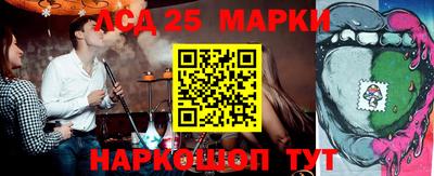 индика Лесосибирск