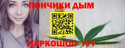 индика Лесосибирск