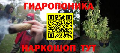 индика Лесосибирск