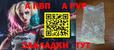индика Лесосибирск