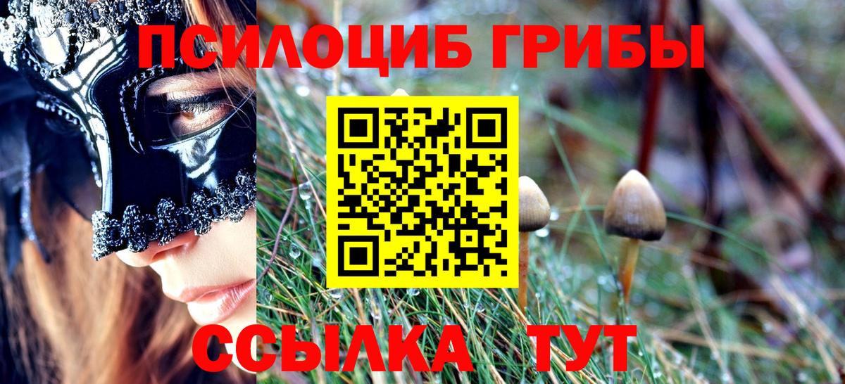 где купить наркотик  Псилоцибиновые грибы Cubensis  Южно-Сахалинск  Вход с VPN  Псилоцибиновые грибы ЛСД 